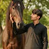 shehroz_521