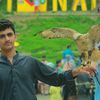 hamza.shabaz20
