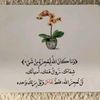 user8194984998046