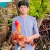 shoak48