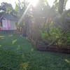 ivani.reis84