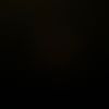 apple.user8927366