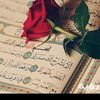 askr0880
