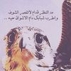 user80156034100531