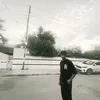 ql__24
