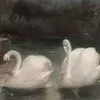 urbee948