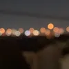 se_n0731