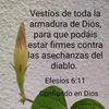 campos.g.alcia.ga