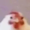 .grjq