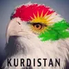 k.k.kurdish