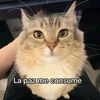 alwescomback