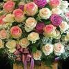 user2909347081260