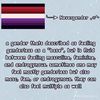 alary.dampf