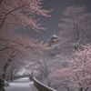 blossom_kawai