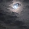 nga.tthht