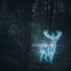 rivers_daughter_