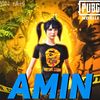 aminpjr39