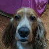 jhethro.horacio
