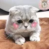 le.vu.nhat.uyen02