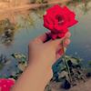 user7713388861270