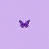 dinaa_0526