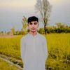 maliksanaullah038