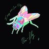 everyonecanfly.com
