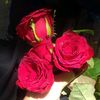 rehman87714