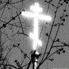 jesusofsalvation