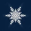 snowflakes0023