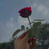 user815052190
