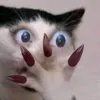 is.sszx2
