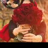 user18695754198823