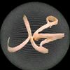 ifull447