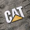 catused