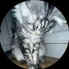 kiwithefruit1