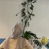 yangpunyaakunmanusia_