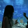 skibidi_alliyahhh