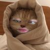 nyariapasi240