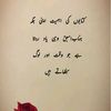 rashid.khan.023