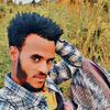 tsegaye.temesgen