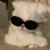 _zyr_11