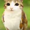 aileen_13696
