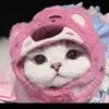_.syazwani5
