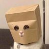 hongvinny.est