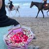hibah.vs