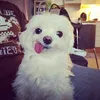 juliyuhh691