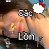 baonam21101