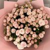 jess11036