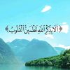 seerat.khalid35